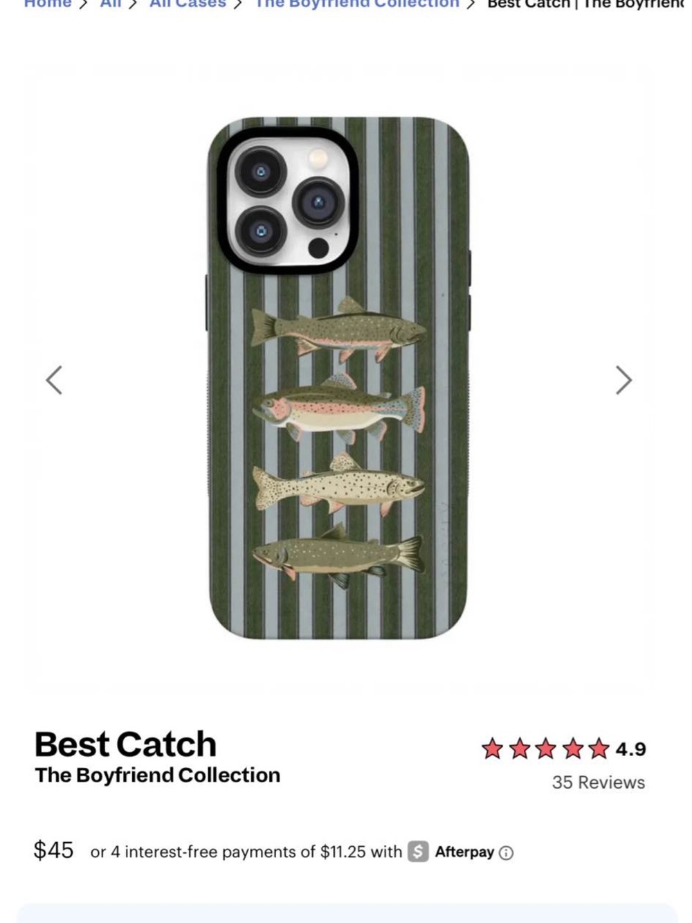 iPhone 13 Pro Max Case - NEW